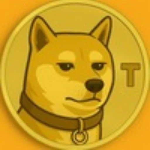 TAKO logo: a gold coin with a Shiba Inu head and a letter T